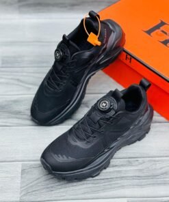 Alternative view of FSN – HILANZA