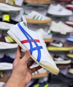 Alternative view of Oniisuka Tiger – Mexico